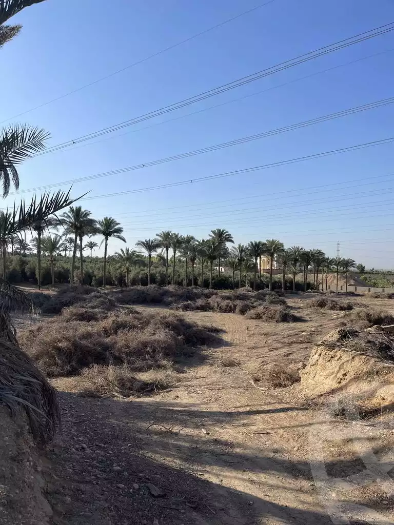 https://aqarmap.com.eg/en/listing/5936450-for-sale-cairo-ljyz