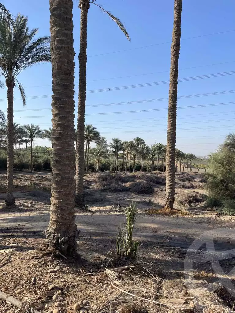 https://aqarmap.com.eg/en/listing/5936609-for-sale-cairo-el-mansuriyyah-el-saliba