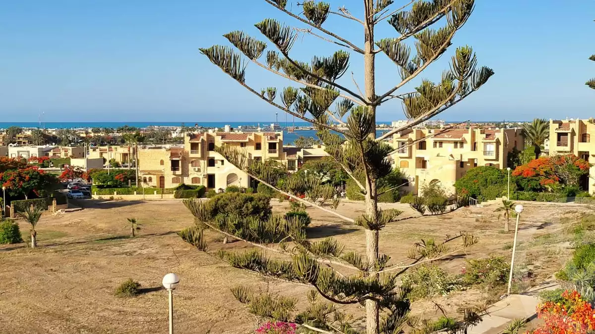 https://aqarmap.com.eg/ar/listing/5937086-for-rent-north-coast-resorts-marina-5