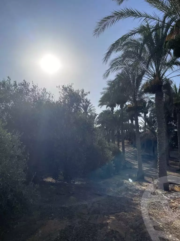 https://aqarmap.com.eg/ar/listing/5938145-for-sale-cairo-el-mansuriyyah-el-saliba