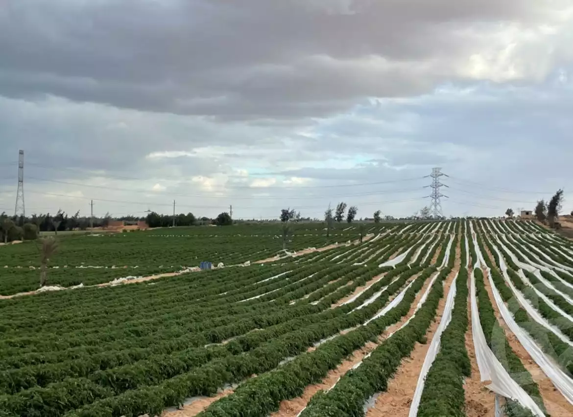 https://aqarmap.com.eg/ar/listing/5938219-for-sale-alexandria-cairo-alexandria-desert-road