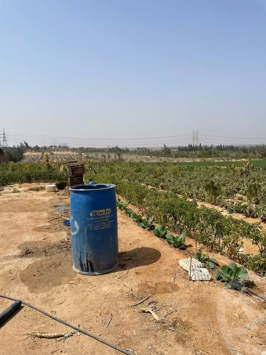 https://aqarmap.com.eg/ar/listing/5938219-for-sale-alexandria-cairo-alexandria-desert-road