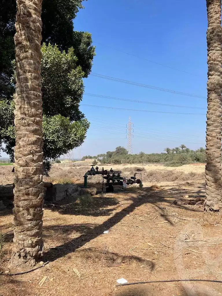 https://aqarmap.com.eg/en/listing/5938662-for-sale-cairo-ljyz