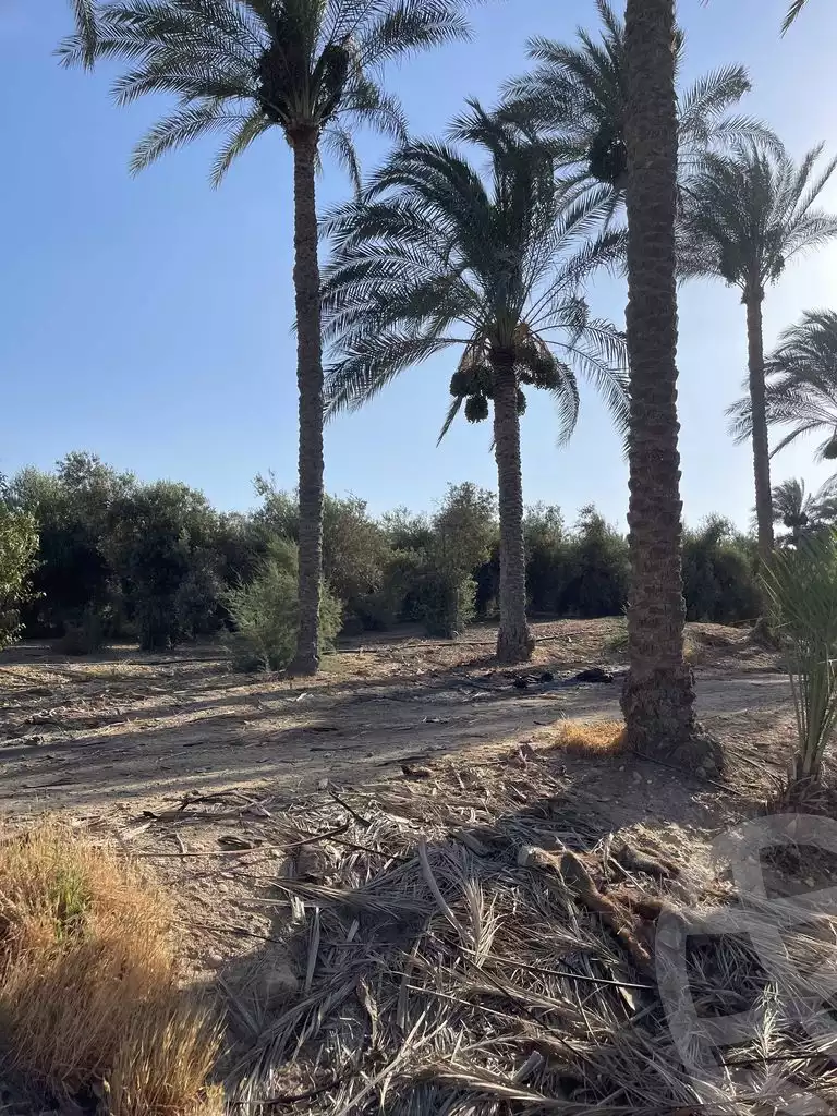 https://aqarmap.com.eg/en/listing/5938684-for-sale-cairo-faisal