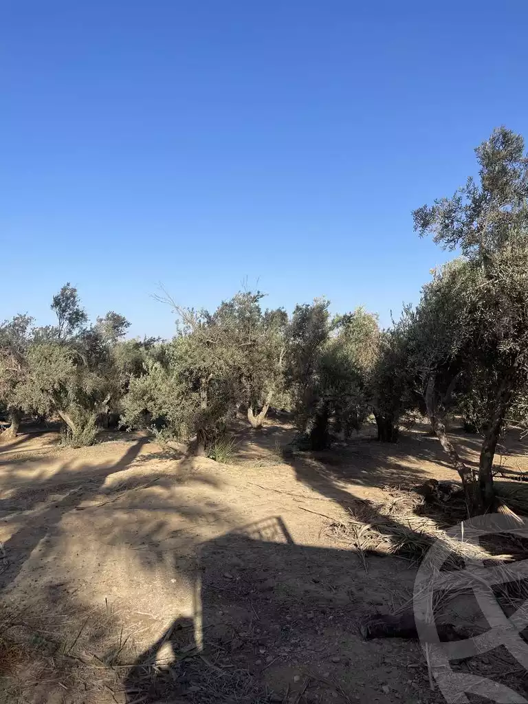 https://aqarmap.com.eg/en/listing/5938761-for-sale-cairo-ljyz