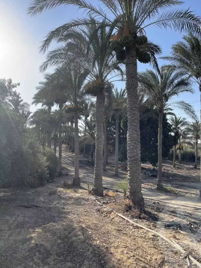 https://aqarmap.com.eg/en/listing/5938761-for-sale-cairo-ljyz