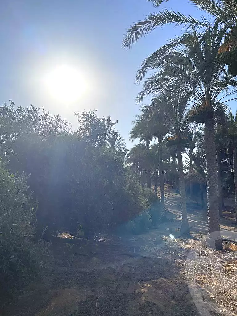 https://aqarmap.com.eg/ar/listing/5938949-for-sale-cairo-ljyz