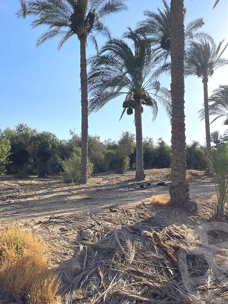 https://aqarmap.com.eg/ar/listing/5938961-for-sale-cairo-ljyz