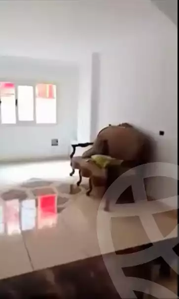 https://aqarmap.com.eg/en/listing/5939232-for-sale-qalyubia-shubra-el-khaima-bahtim