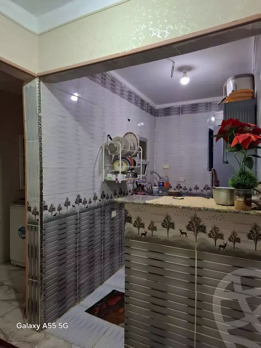 https://aqarmap.com.eg/en/listing/5939277-for-sale-cairo-ain-shams-el-naam-al-matrya-musiem-st