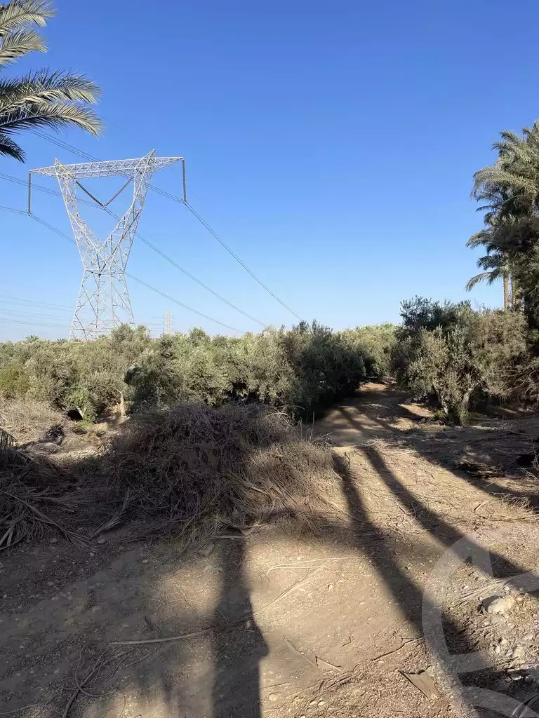 https://aqarmap.com.eg/ar/listing/5942257-for-sale-cairo-el-mansuriyyah-el-saliba