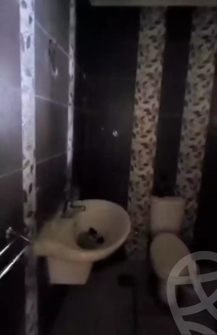https://aqarmap.com.eg/en/listing/5942888-for-rent-cairo-el-haram-shareaa-fatma-roshdy