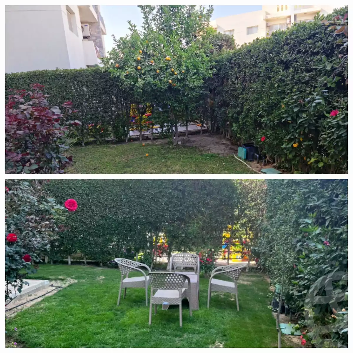 https://aqarmap.com.eg/en/listing/5941263-for-rent-cairo-el-sheikh-zayed-city-compounds-dh-drys