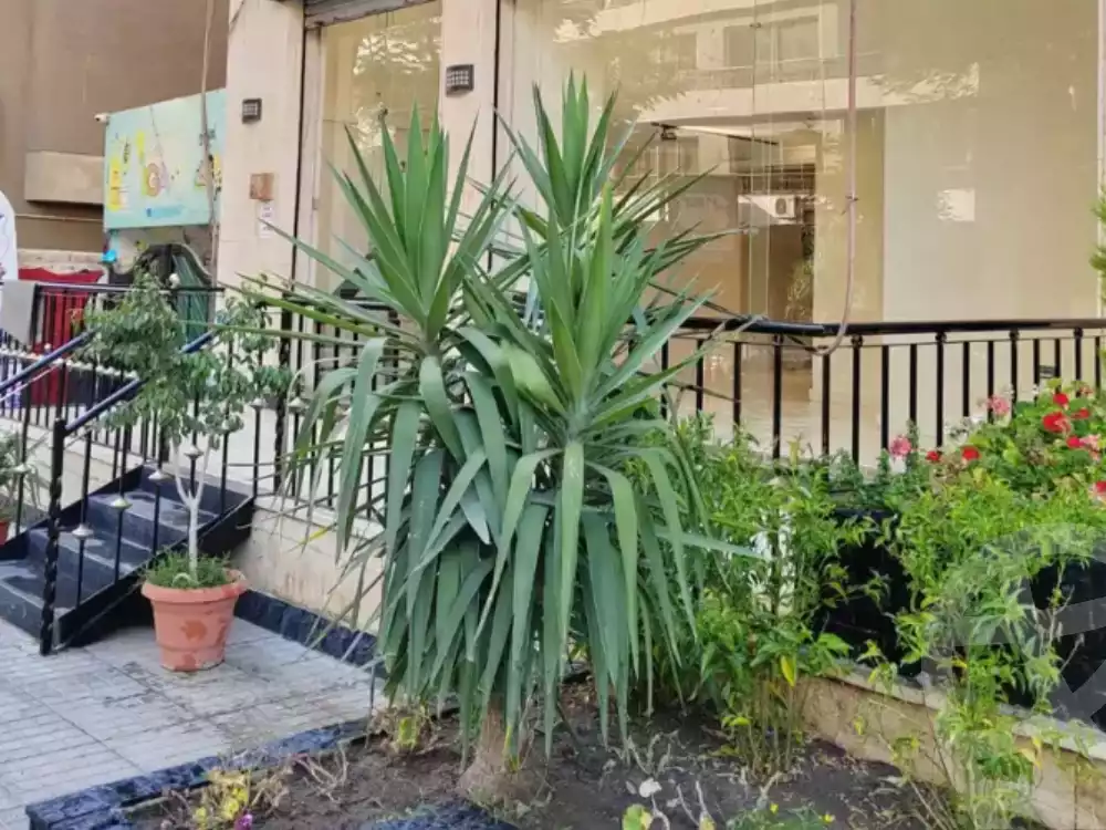 https://aqarmap.com.eg/en/listing/5925240-for-sale-cairo-nasr-city