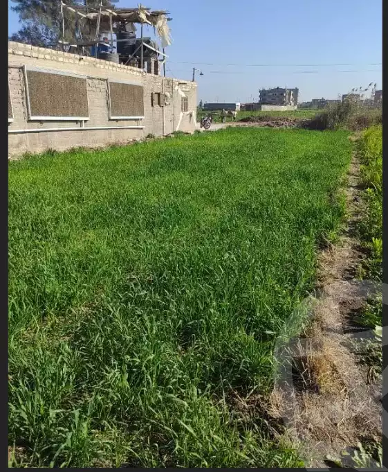 https://aqarmap.com.eg/en/listing/5946925-for-sale-dakahlia-mansoura-shw