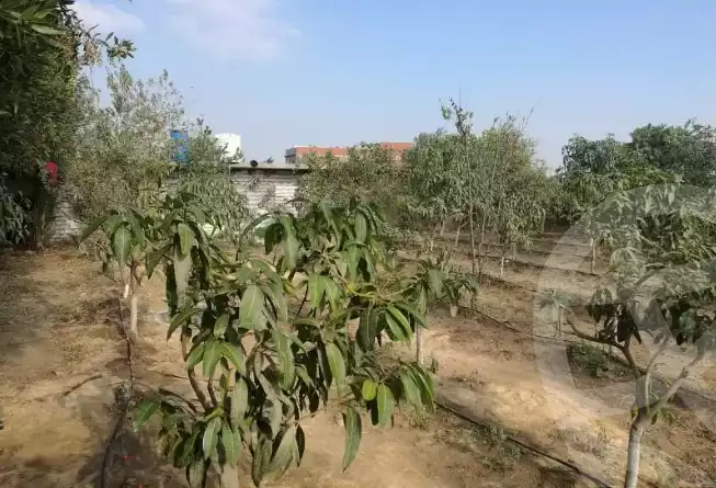 https://aqarmap.com.eg/en/listing/5949974-for-sale-cairo-ljyz