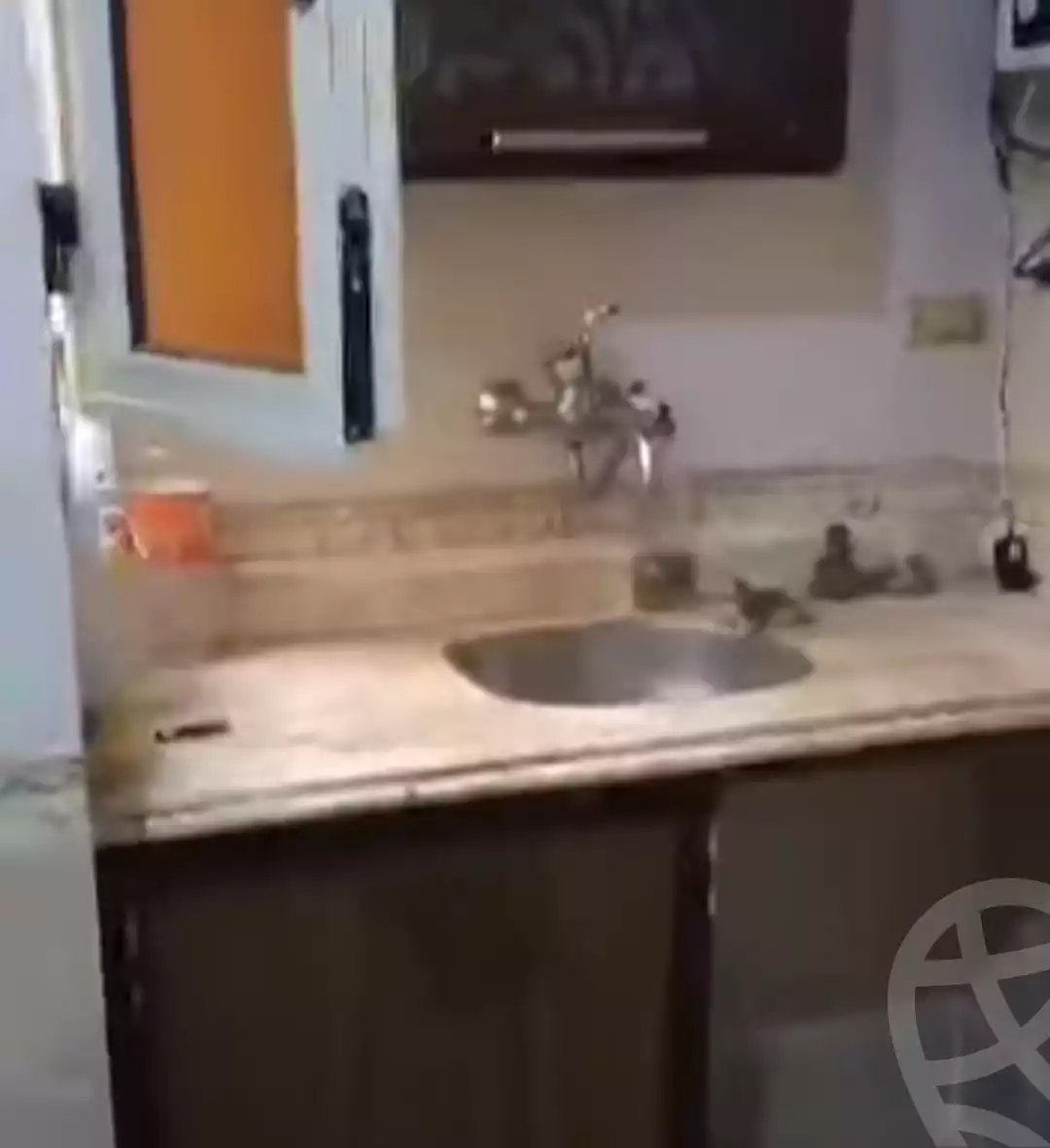 https://aqarmap.com.eg/ar/listing/5952695-for-sale-alexandria-l-jmy-el-hanouvel-rich-home-st