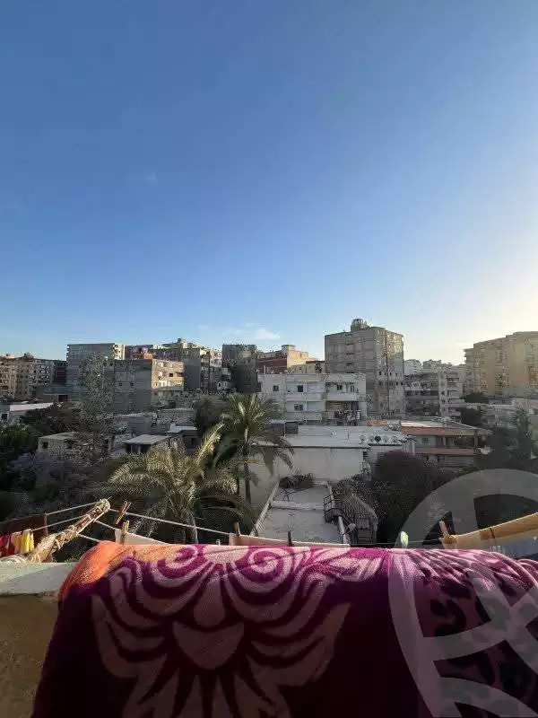 https://aqarmap.com.eg/en/listing/5953022-for-sale-alexandria-l-jmy-lbytsh-khalil-ballw-st