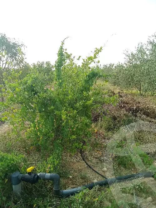 https://aqarmap.com.eg/ar/listing/5953019-for-sale-suez-el-ganain-geneffe
