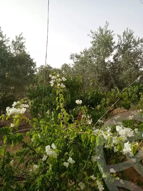 https://aqarmap.com.eg/en/listing/5953035-for-sale-suez-el-ganain-geneffe