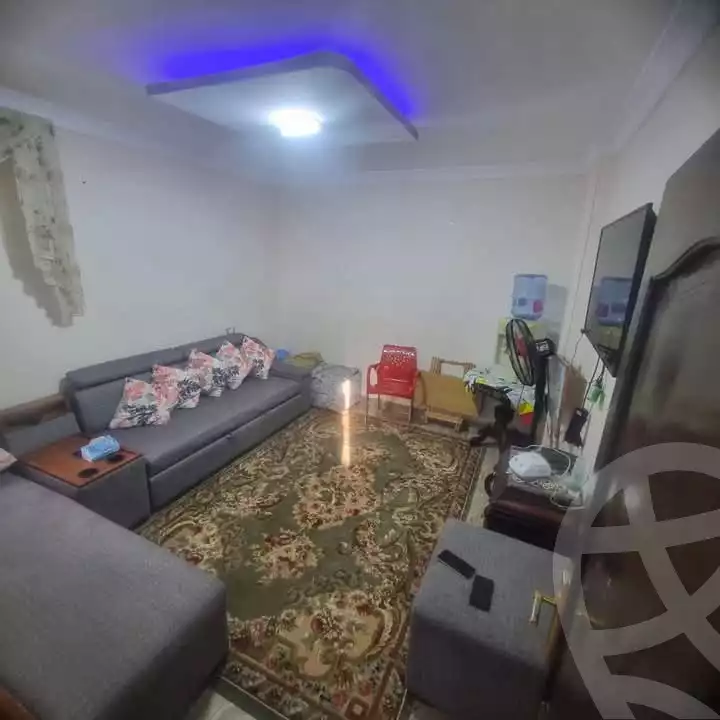https://aqarmap.com.eg/en/listing/5953759-for-sale-alexandria-l-jmy-lbytsh-al-aeda-al-kadema-st