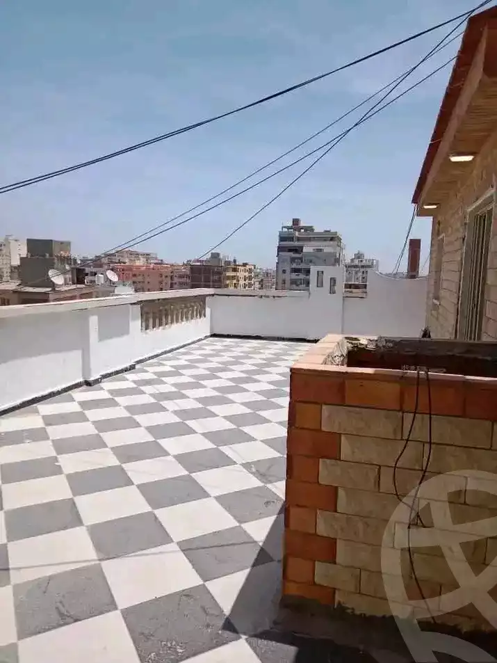 https://aqarmap.com.eg/en/listing/5955082-for-sale-alexandria-l-jmy-lbytsh-street-8