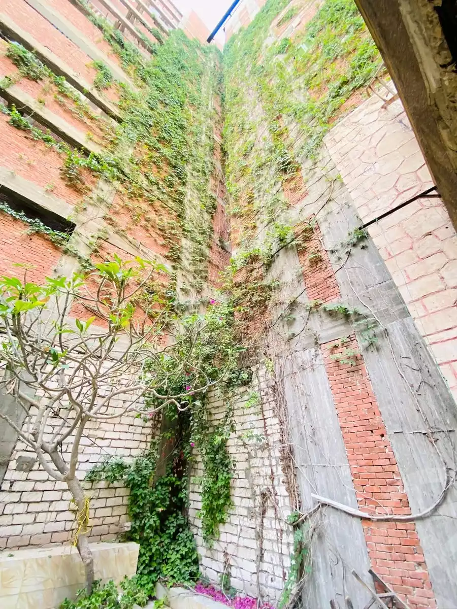 https://aqarmap.com.eg/en/listing/5955555-for-sale-alexandria-l-jmy-lbytsh-shahr-al-assal-st