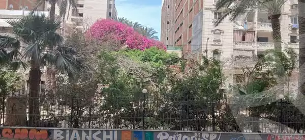https://aqarmap.com.eg/en/listing/5956190-for-rent-alexandria-l-jmy-lbytsh-bianchiii