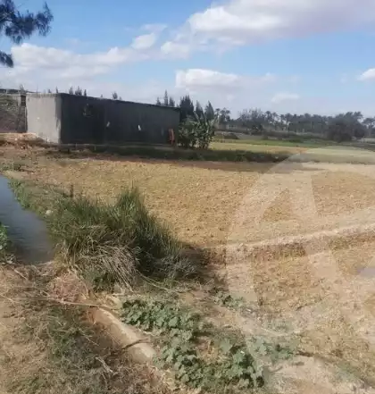 https://aqarmap.com.eg/en/listing/5957179-for-sale-alexandria-cairo-alexandria-desert-road