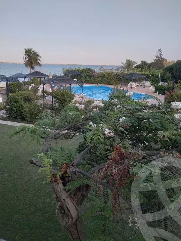 https://aqarmap.com.eg/en/listing/5959043-for-sale-ismailia-fayed-el-menyawy-rd