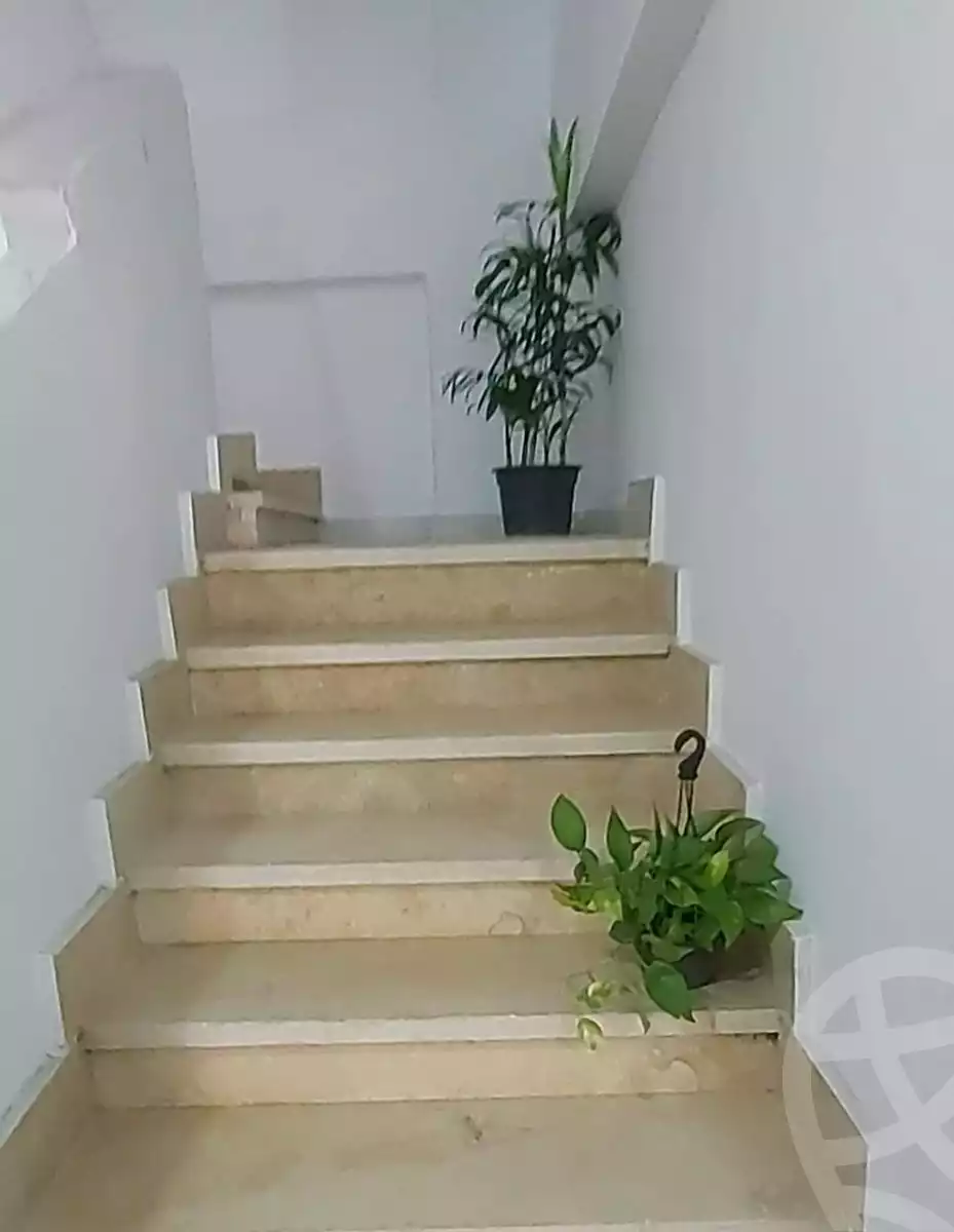 https://aqarmap.com.eg/ar/listing/5959465-for-sale-alexandria-l-jmy-el-kilo-21