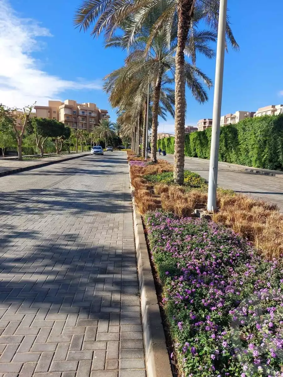 https://aqarmap.com.eg/en/listing/5960704-for-sale-cairo-6th-of-october-hadaeq-october-kmbwnd-fy-hdyq-ktwbr-shjr-ryzydns-y-jy-y-llttwyr