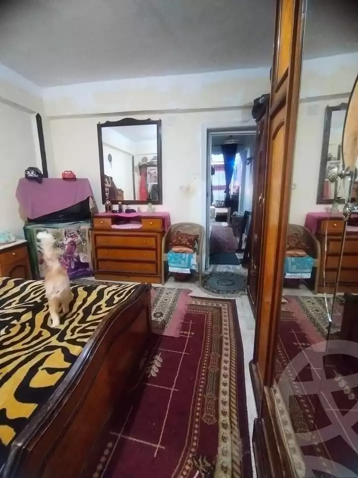 https://aqarmap.com.eg/en/listing/5960910-for-sale-alexandria-l-jmy-lbytsh-el-hay-st