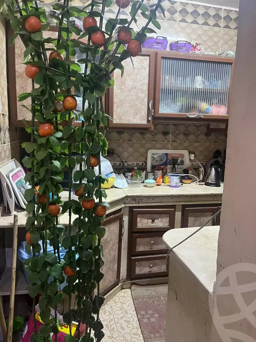 https://aqarmap.com.eg/en/listing/5962361-for-sale-cairo-el-marg-old-marg