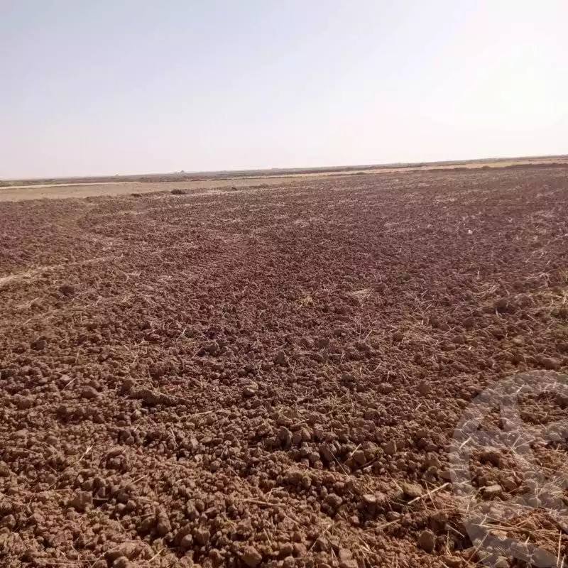 https://aqarmap.com.eg/ar/listing/5965158-for-sale-new-valley-dakhla-oasis