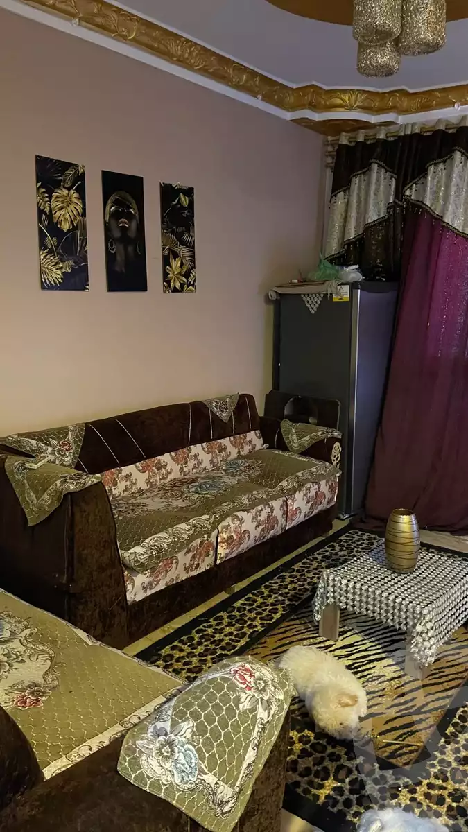 https://aqarmap.com.eg/en/listing/5968675-for-sale-alexandria-l-jmy-lbytsh-bianchiii