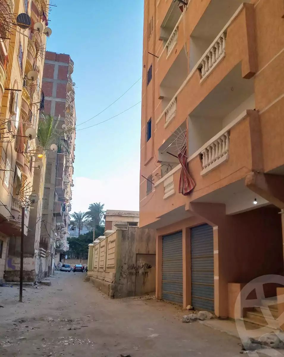 https://aqarmap.com.eg/en/listing/5968950-for-sale-alexandria-l-jmy-el-hanouvel