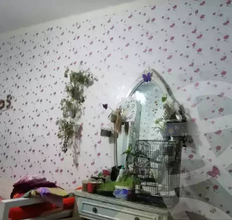 https://aqarmap.com.eg/en/listing/5972678-for-sale-cairo-nasr-city-hassan-el-mamoon
