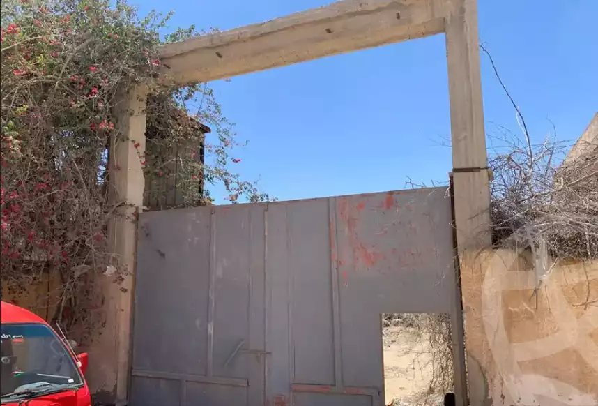 https://aqarmap.com.eg/ar/listing/5973636-for-rent-alexandria-el-amreya-el-naserya-el-qadema