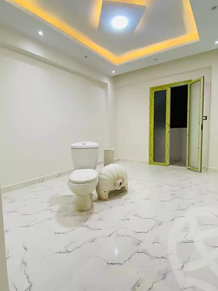 https://aqarmap.com.eg/en/listing/5975112-for-sale-alexandria-l-jmy-lbytsh-princess-st