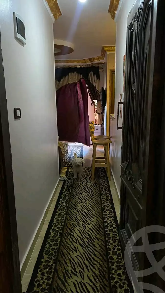 https://aqarmap.com.eg/en/listing/5976529-for-sale-alexandria-l-jmy-lbytsh-bianchiii