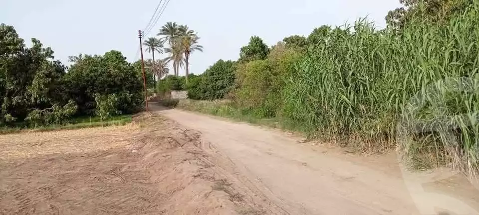 https://aqarmap.com.eg/ar/listing/5977567-for-sale-ismailia-el-qantara-gharb