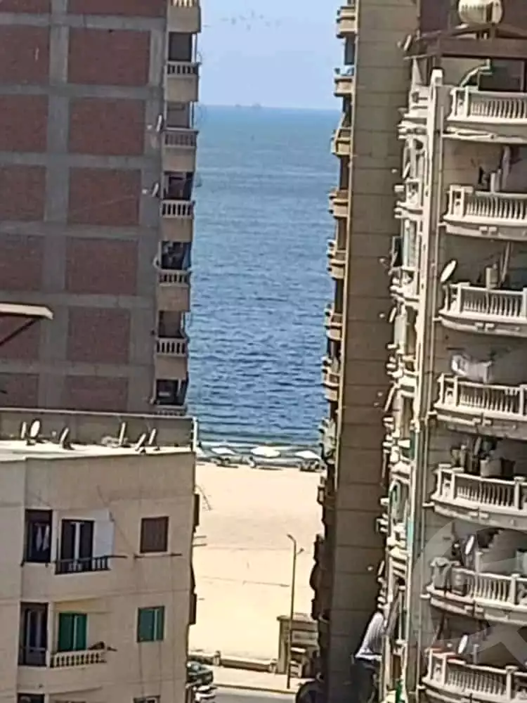 https://aqarmap.com.eg/en/listing/5978535-for-sale-alexandria-myn-ldkhyl