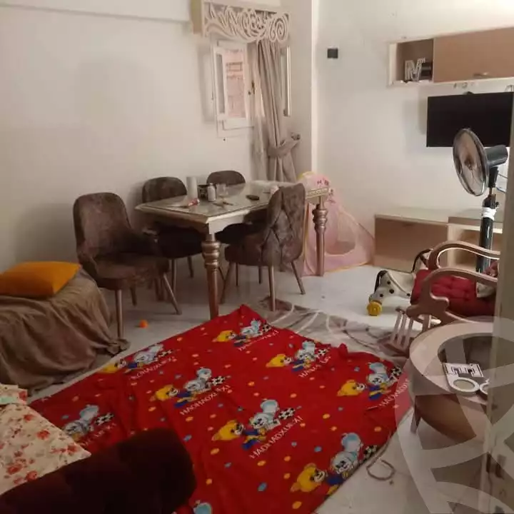 https://aqarmap.com.eg/en/listing/5979800-for-sale-alexandria-l-jmy-lbytsh-el-hay-st