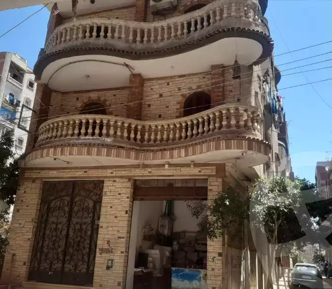 https://aqarmap.com.eg/ar/listing/5982481-for-sale-gharbia-tanta-tanta-city-kafr-essam-rd
