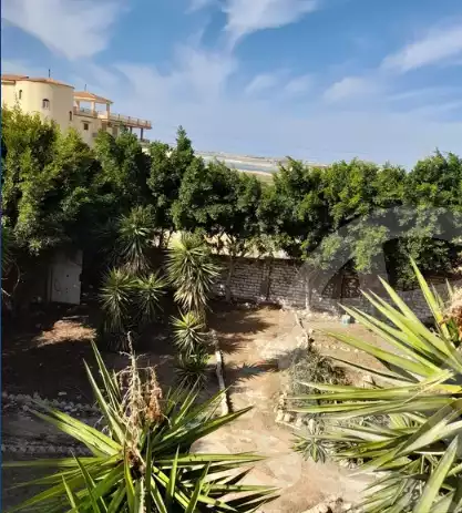 https://aqarmap.com.eg/en/listing/5983695-for-sale-alexandria-borg-el-arab