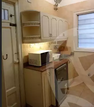 https://aqarmap.com.eg/en/listing/5984534-for-rent-cairo-al-zamalek
