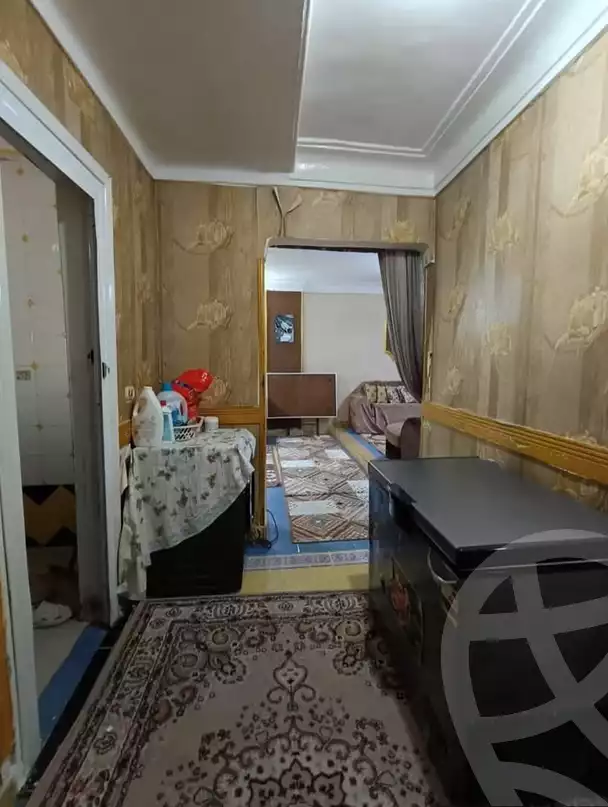 https://aqarmap.com.eg/ar/listing/5984654-for-sale-alexandria-l-jmy-lbytsh-al-samalehy-2-st