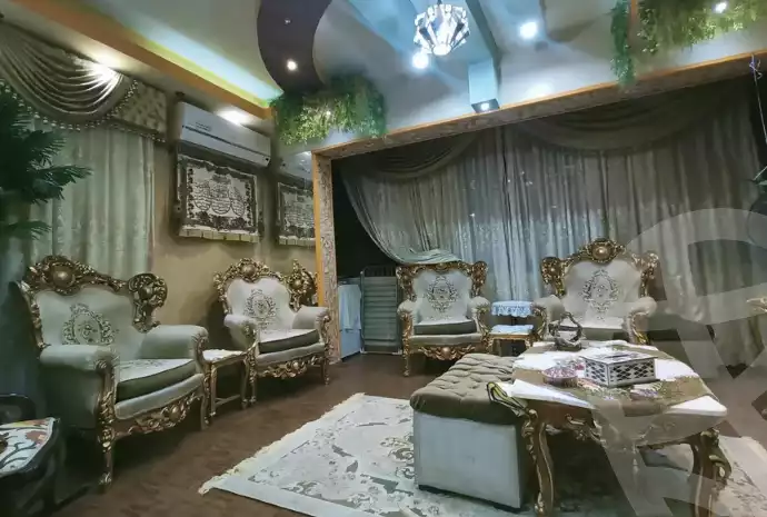 https://aqarmap.com.eg/en/listing/5987763-for-sale-dakahlia-mansoura-el-mansoura-city-al-beshbeshi-st