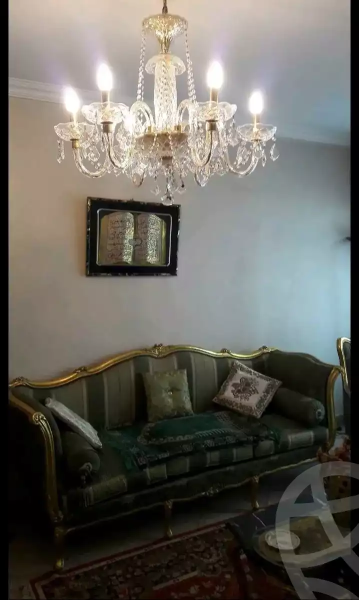 https://aqarmap.com.eg/en/listing/5989943-for-rent-cairo-faisal-el-maryotyah